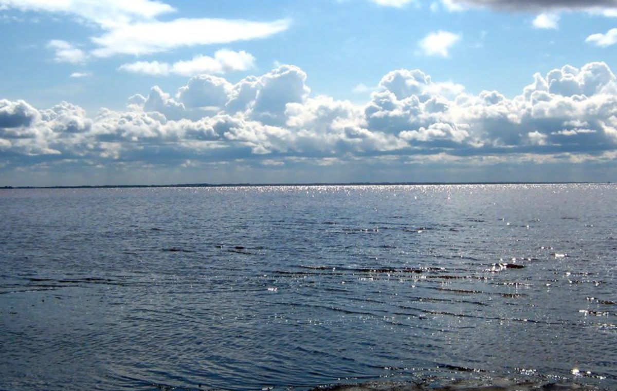Кулундинское озеро